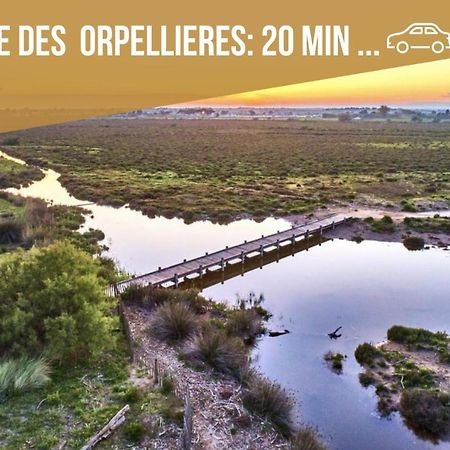 Centre Historique - Free Parking - Self Checkin - Wifi - Industriel - Sleepntripbeziers Apartment Luaran gambar